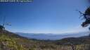 ./images/calvert/fitz-hugh-hecate/20250609/fitz-hugh-hecate20250609_113010M.jpg