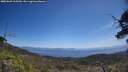 ./images/calvert/fitz-hugh-hecate/20250609/fitz-hugh-hecate20250609_115510M.jpg