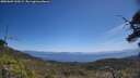 ./images/calvert/fitz-hugh-hecate/20250609/fitz-hugh-hecate20250609_120508M.jpg