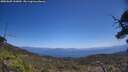 ./images/calvert/fitz-hugh-hecate/20250609/fitz-hugh-hecate20250609_130010M.jpg