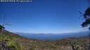 ./images/calvert/fitz-hugh-hecate/20250609/fitz-hugh-hecate20250609_145510M.jpg