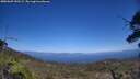 ./images/calvert/fitz-hugh-hecate/20250609/fitz-hugh-hecate20250609_150508M.jpg