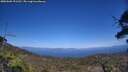 ./images/calvert/fitz-hugh-hecate/20250609/fitz-hugh-hecate20250609_151511M.jpg