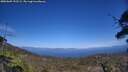 ./images/calvert/fitz-hugh-hecate/20250609/fitz-hugh-hecate20250609_152509M.jpg