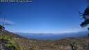 ./images/calvert/fitz-hugh-hecate/20250609/fitz-hugh-hecate20250609_153011M.jpg