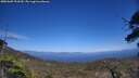 ./images/calvert/fitz-hugh-hecate/20250609/fitz-hugh-hecate20250609_153509M.jpg