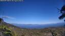 ./images/calvert/fitz-hugh-hecate/20250609/fitz-hugh-hecate20250609_154009M.jpg