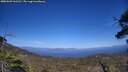 ./images/calvert/fitz-hugh-hecate/20250609/fitz-hugh-hecate20250609_161511M.jpg