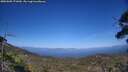 ./images/calvert/fitz-hugh-hecate/20250609/fitz-hugh-hecate20250609_171010M.jpg