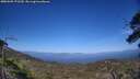 ./images/calvert/fitz-hugh-hecate/20250609/fitz-hugh-hecate20250609_171509M.jpg