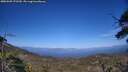 ./images/calvert/fitz-hugh-hecate/20250609/fitz-hugh-hecate20250609_172510M.jpg