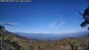 ./images/calvert/fitz-hugh-hecate/20250609/fitz-hugh-hecate20250609_183508M.jpg