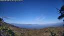./images/calvert/fitz-hugh-hecate/20250609/fitz-hugh-hecate20250609_184008M.jpg