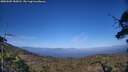 ./images/calvert/fitz-hugh-hecate/20250609/fitz-hugh-hecate20250609_184510M.jpg