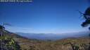 ./images/calvert/fitz-hugh-hecate/20250609/fitz-hugh-hecate20250609_190010M.jpg