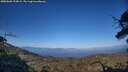 ./images/calvert/fitz-hugh-hecate/20250609/fitz-hugh-hecate20250609_193009M.jpg