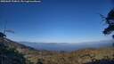 ./images/calvert/fitz-hugh-hecate/20250609/fitz-hugh-hecate20250609_194008M.jpg