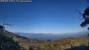 ./images/calvert/fitz-hugh-hecate/20250609/fitz-hugh-hecate20250609_194508M.jpg