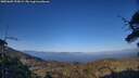 ./images/calvert/fitz-hugh-hecate/20250609/fitz-hugh-hecate20250609_195009M.jpg