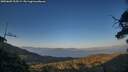 ./images/calvert/fitz-hugh-hecate/20250609/fitz-hugh-hecate20250609_205509M.jpg
