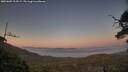 ./images/calvert/fitz-hugh-hecate/20250609/fitz-hugh-hecate20250609_214509M.jpg