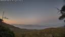./images/calvert/fitz-hugh-hecate/20250609/fitz-hugh-hecate20250609_220508M.jpg