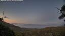 ./images/calvert/fitz-hugh-hecate/20250609/fitz-hugh-hecate20250609_221508M.jpg