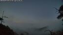 ./images/calvert/fitz-hugh-hecate/20250609/fitz-hugh-hecate20250609_223508M.jpg