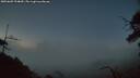 ./images/calvert/fitz-hugh-hecate/20250609/fitz-hugh-hecate20250609_224009M.jpg
