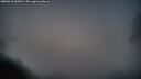 ./images/calvert/fitz-hugh-hecate/20250610/fitz-hugh-hecate20250610_043009M.jpg