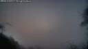 ./images/calvert/fitz-hugh-hecate/20250610/fitz-hugh-hecate20250610_043507M.jpg