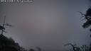 ./images/calvert/fitz-hugh-hecate/20250610/fitz-hugh-hecate20250610_044009M.jpg