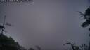 ./images/calvert/fitz-hugh-hecate/20250610/fitz-hugh-hecate20250610_044509M.jpg