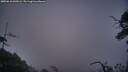 ./images/calvert/fitz-hugh-hecate/20250610/fitz-hugh-hecate20250610_045006M.jpg