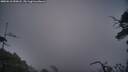 ./images/calvert/fitz-hugh-hecate/20250610/fitz-hugh-hecate20250610_050007M.jpg