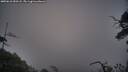 ./images/calvert/fitz-hugh-hecate/20250610/fitz-hugh-hecate20250610_050508M.jpg
