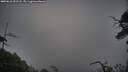 ./images/calvert/fitz-hugh-hecate/20250610/fitz-hugh-hecate20250610_051508M.jpg