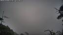 ./images/calvert/fitz-hugh-hecate/20250610/fitz-hugh-hecate20250610_052009M.jpg