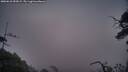 ./images/calvert/fitz-hugh-hecate/20250610/fitz-hugh-hecate20250610_053009M.jpg
