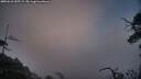 ./images/calvert/fitz-hugh-hecate/20250610/fitz-hugh-hecate20250610_055509M.jpg