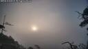 ./images/calvert/fitz-hugh-hecate/20250610/fitz-hugh-hecate20250610_060508M.jpg