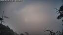 ./images/calvert/fitz-hugh-hecate/20250610/fitz-hugh-hecate20250610_061509M.jpg