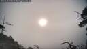 ./images/calvert/fitz-hugh-hecate/20250610/fitz-hugh-hecate20250610_070009M.jpg