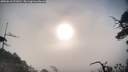 ./images/calvert/fitz-hugh-hecate/20250610/fitz-hugh-hecate20250610_071010M.jpg