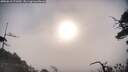 ./images/calvert/fitz-hugh-hecate/20250610/fitz-hugh-hecate20250610_072010M.jpg