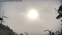 ./images/calvert/fitz-hugh-hecate/20250610/fitz-hugh-hecate20250610_072507M.jpg