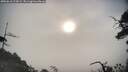 ./images/calvert/fitz-hugh-hecate/20250610/fitz-hugh-hecate20250610_073008M.jpg