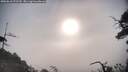./images/calvert/fitz-hugh-hecate/20250610/fitz-hugh-hecate20250610_073510M.jpg