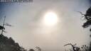 ./images/calvert/fitz-hugh-hecate/20250610/fitz-hugh-hecate20250610_074007M.jpg