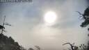 ./images/calvert/fitz-hugh-hecate/20250610/fitz-hugh-hecate20250610_074510M.jpg